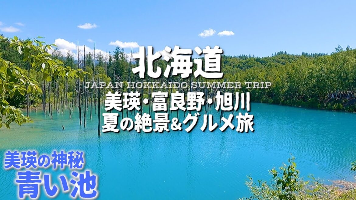 【夏の北海道旅行】美瑛・富良野で絶景とグルメ旅【青い池・ファーム富田・メロン・ラベンダー・四季彩の丘・旭川・ノロッコ号・vlog】後編