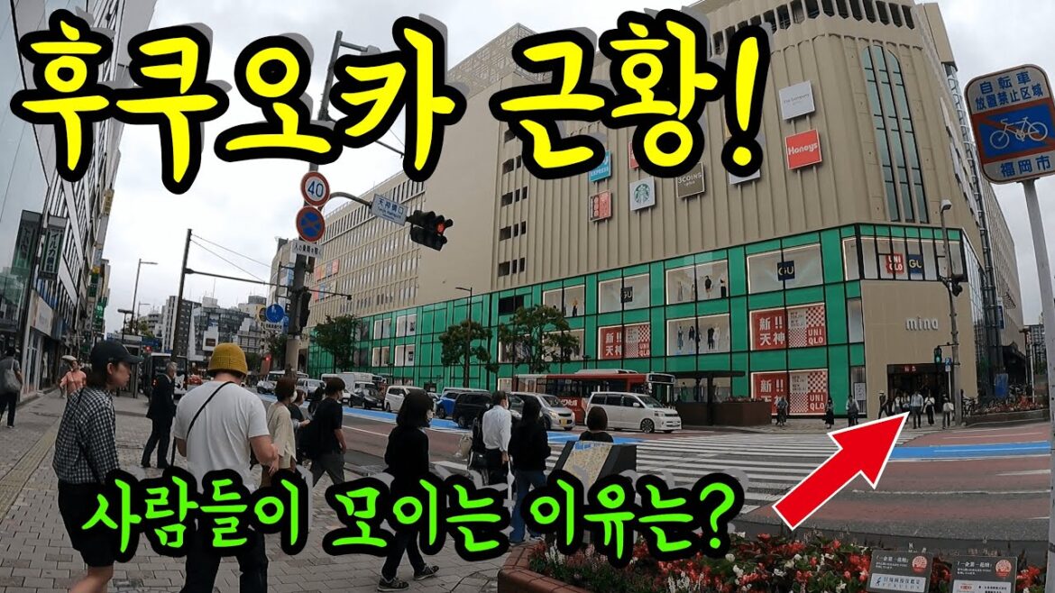 모르면 손해보는 후쿠오카 핫플을 알려드립니다/ 후쿠오카 여행