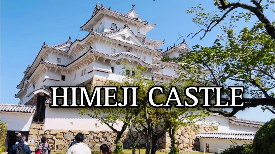 HIMEJI CASTLE || THE BEST AND MOST BEAUTIFUL SURVIVING FEUDAL CASTLE #姫路城