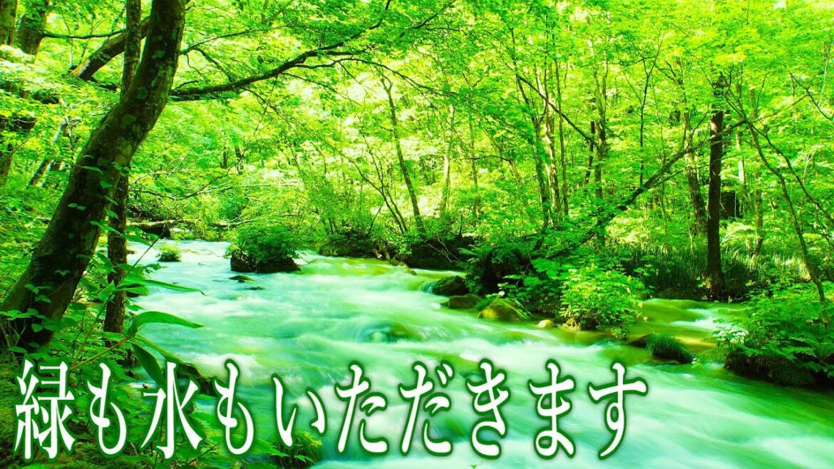 【旅Vlog】水と空気と風景で心が癒される青森って最高でしょ！～奥入瀬渓流編～