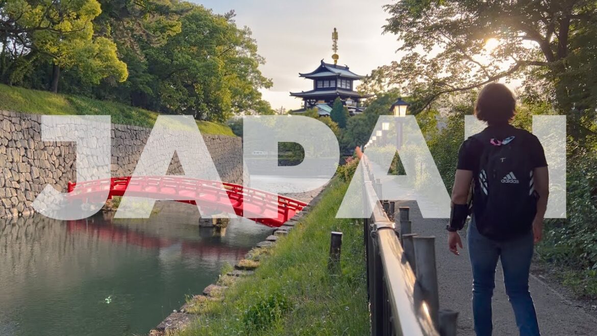 I went to Japan alone! | My first impressions of Japan | Japan VLOG