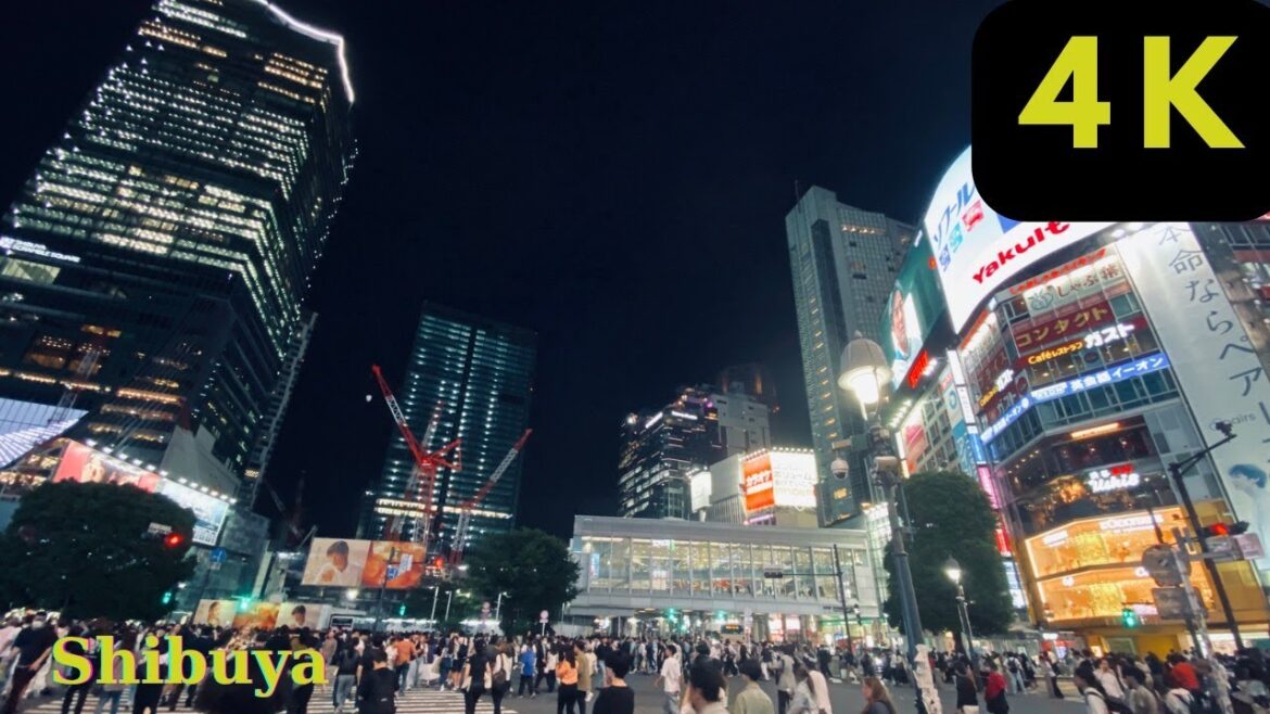 Night Walk Shibuya Tokyo Japan| Binaural City Sounds in Tokyo (Relaxing Sounds for Sleep 4k ASMR) Night Walk Shibuya Tokyo Japan| Binaural City Sounds in Tokyo (Relaxing Sounds for Sleep 4k ASMR)