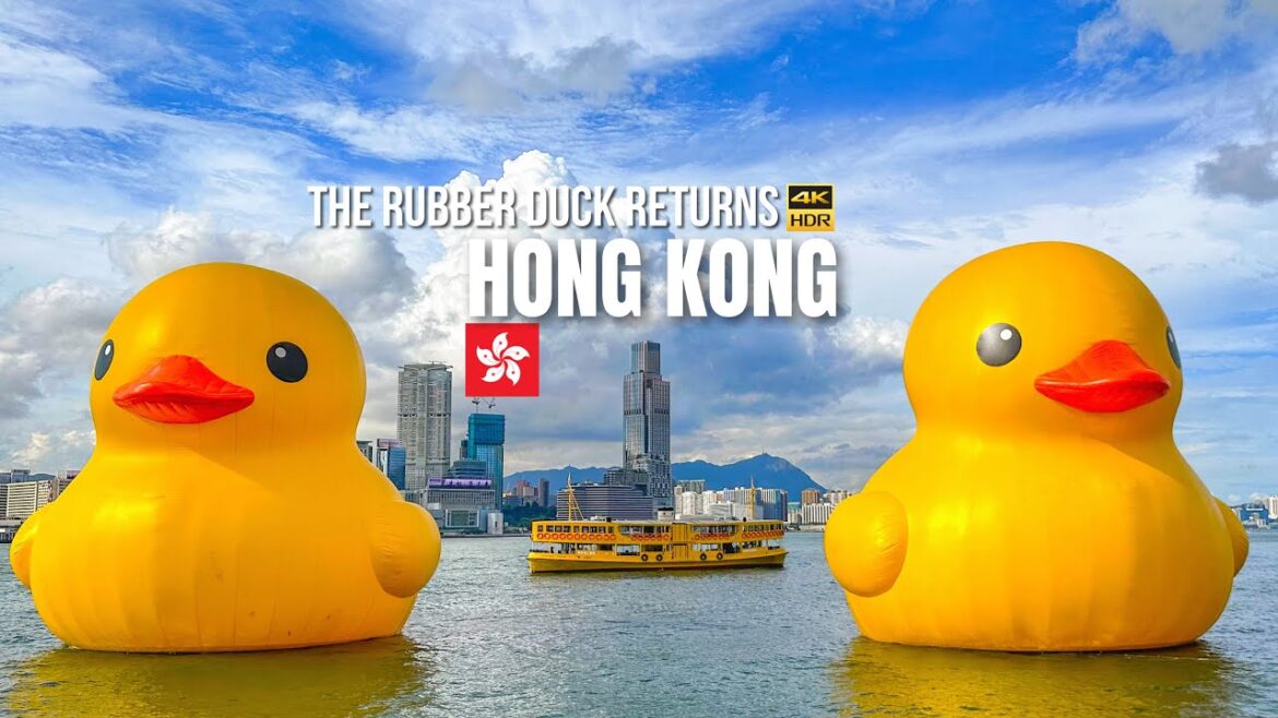 The Rubber Duck Returns! Hong Kong Victoria Harbour Walk【4K HDR】