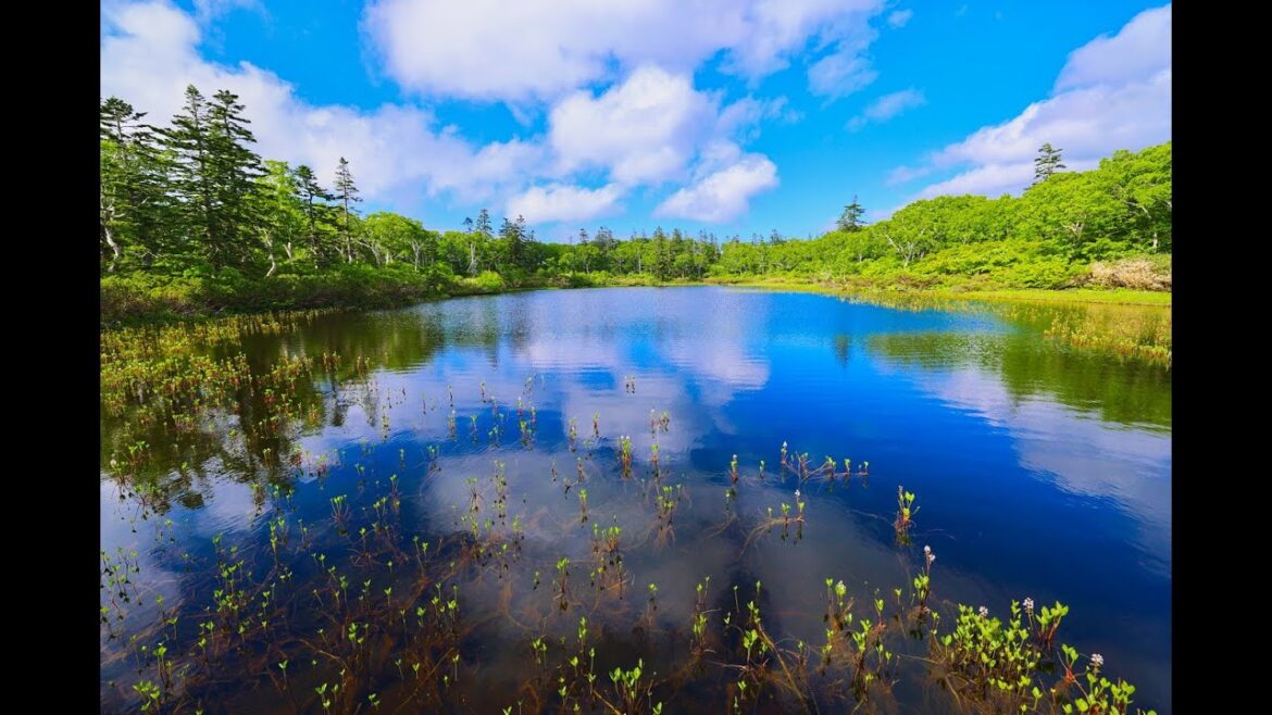 8K HDR 北海道 ニセコの初夏 Hokkaido,NIseko in Early Summer