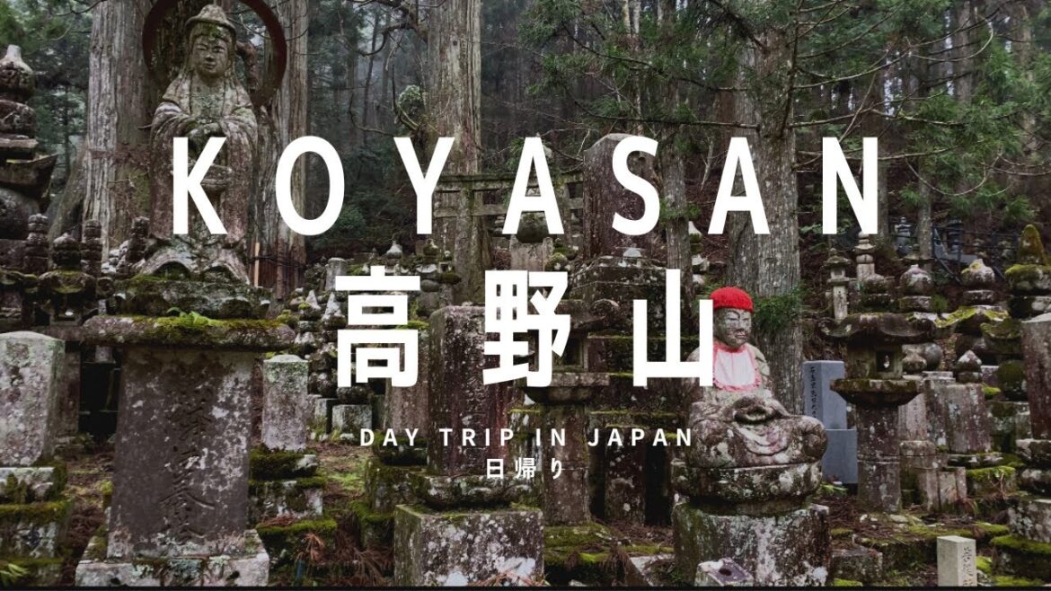 Japan Travel Vlog | Koyasan, Wakayama | Day trip from Osaka and Kyoto