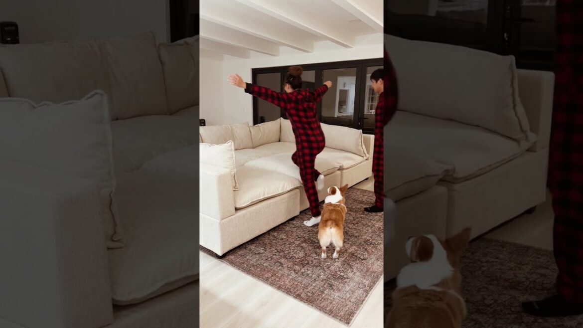 MOVIE NIGHT AT THE LIN’S! 🎬