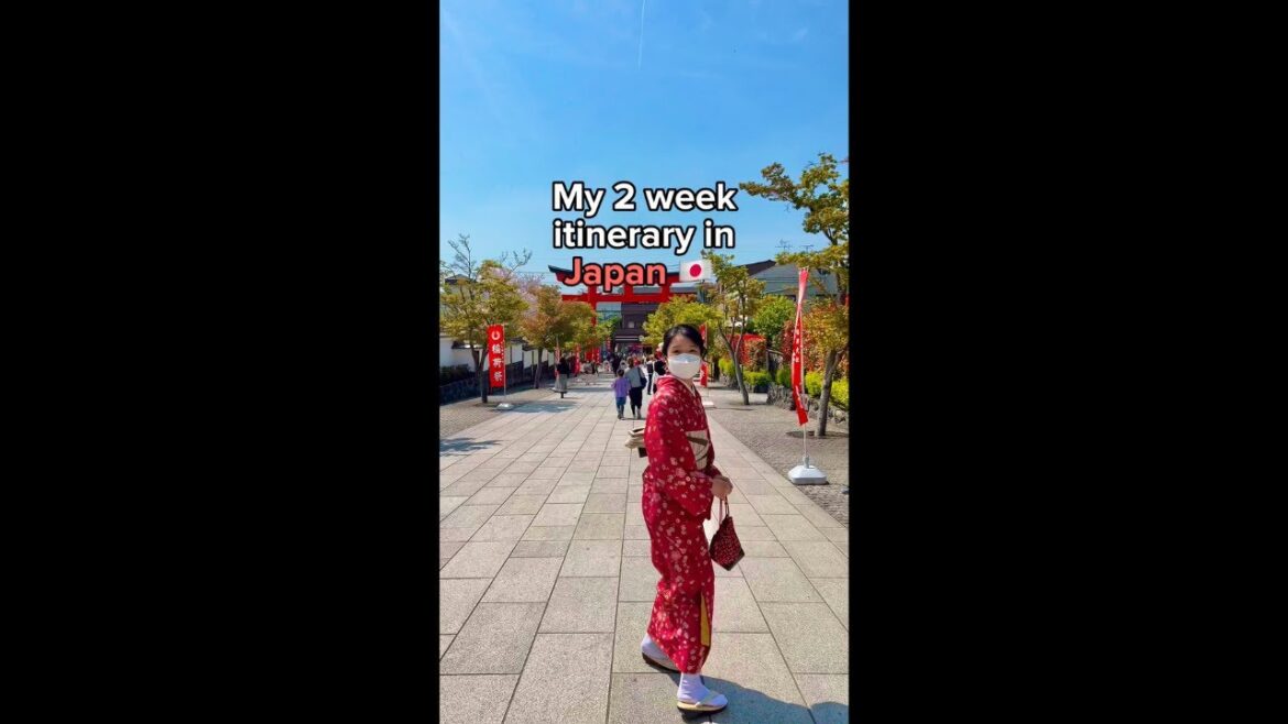 2 WEEK JAPAN ITINERARY 🌸 | 4 days in Tokyo [Part 1] #japantravel #japantrip
