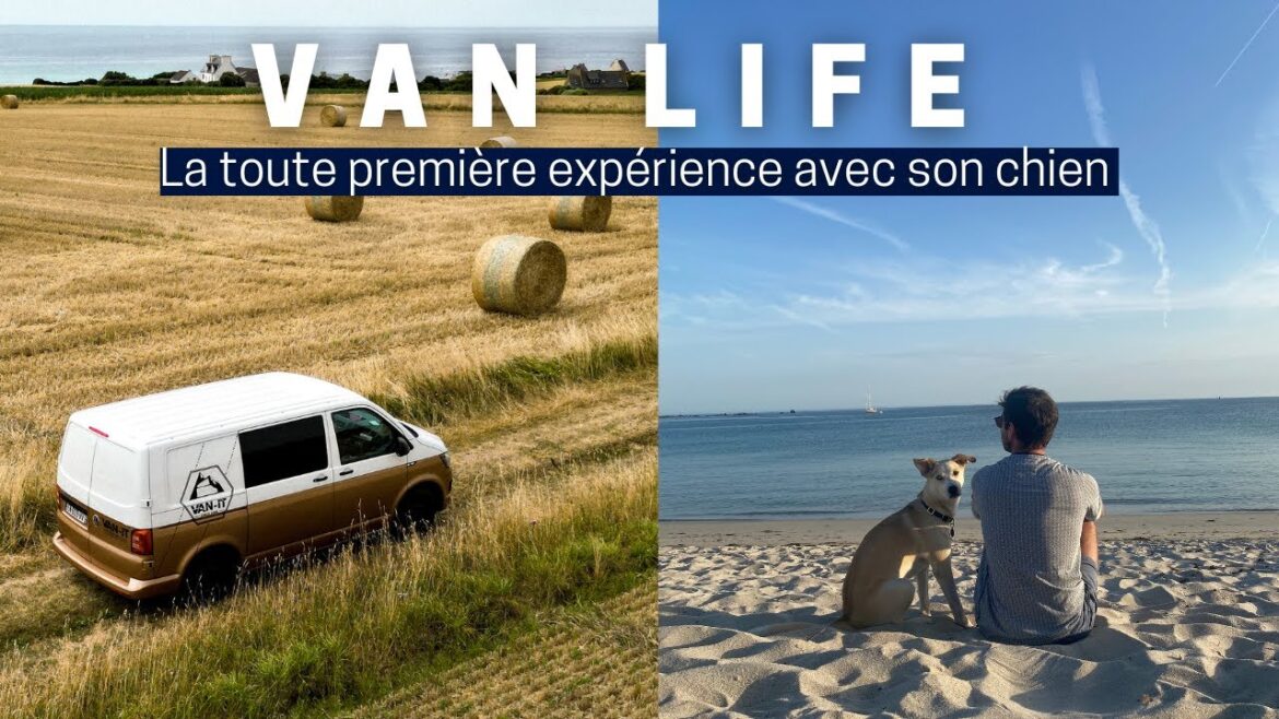 VAN LIFE - La première expérience avec son chien ! [Part 1]