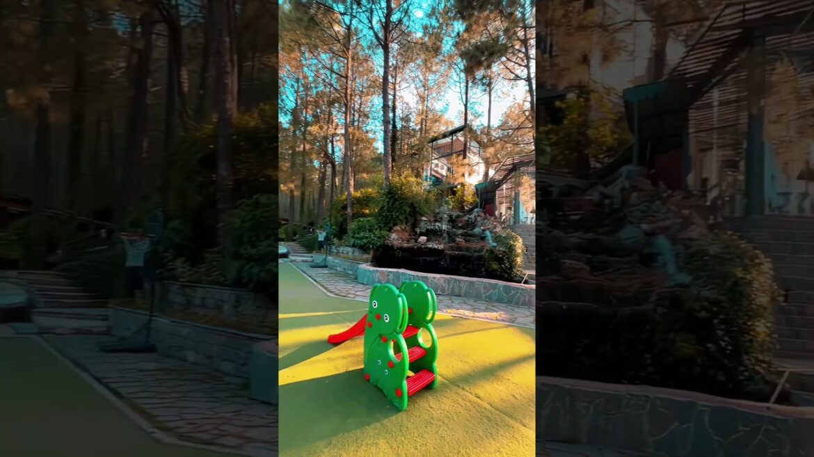 Brook & Pines Restaurant || Kasauli || Wanderlust || Latest Video || 2023 Brook & Pines Restaurant || Kasauli || Wanderlust || Latest Video || 2023