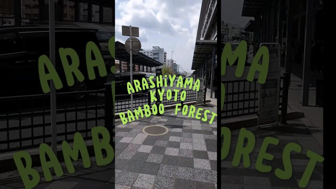 Arashiyama Bamboo Grove Kyoto- Japan   π―π΅ #shorts Arashiyama Bamboo Grove Kyoto- Japan   π―π΅ #shorts