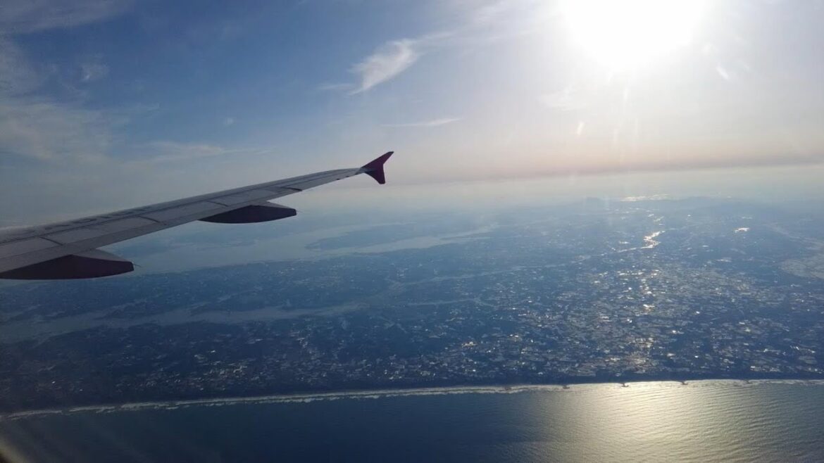 【peach窓側席】新千歳→成田　8,990円