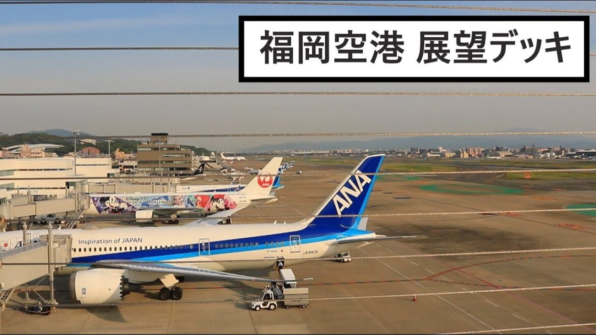 【福岡市博多区】福岡空港 展望デッキ　- 子供から大人まで昼も夜も楽しめるスポット -