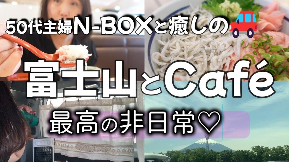 【主婦のひとり休日】富士山見えるSAで車中カフェ！埼玉→静岡｜マグロシラス丼が最高に美味しいSA｜#車中泊 #nbox #ドライブ #アラフィフ  #東名高速 #サービスエリア #食べ歩き