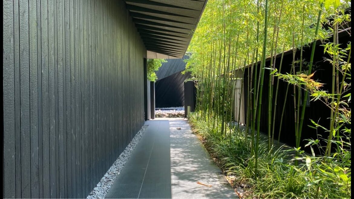 Amazing Architecture of🇯🇵Comico Art Museum Yufuin LIVE Walking in Japan