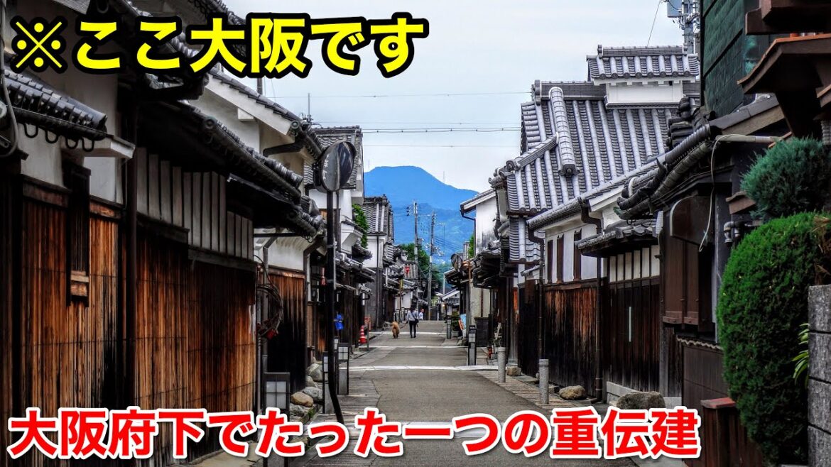 【大阪でたった一つ】こんな町並みがあったのか…！江戸時代の町並みが残る感動の「寺内町」/ 時代をタイムスリップするノスタルジックな大阪観光スポット