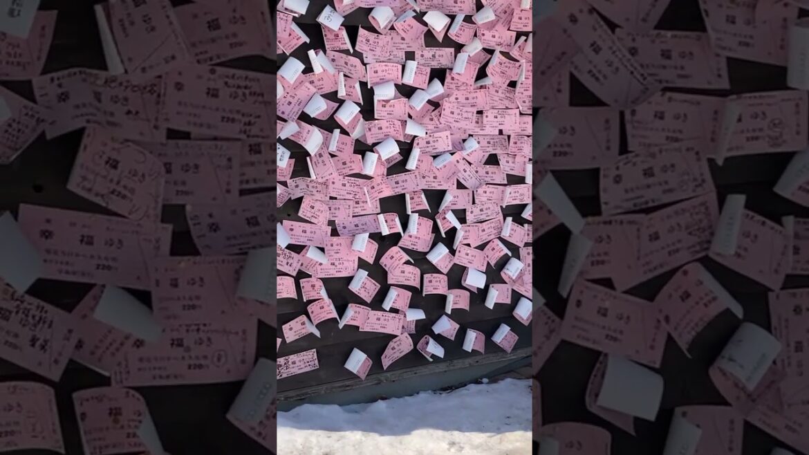 Visitaré a la estación de Kofuku (felicidad) 3: Hokkaido, Japón #shorts Visitaré a la estación de Kofuku (felicidad) 3: Hokkaido, Japón #shorts