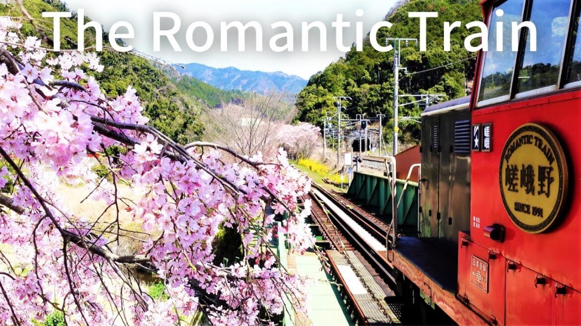 Sagano Romantic Torokko Train & Cherry Blossoms! Kyoto Japan Solo Travel Vlog