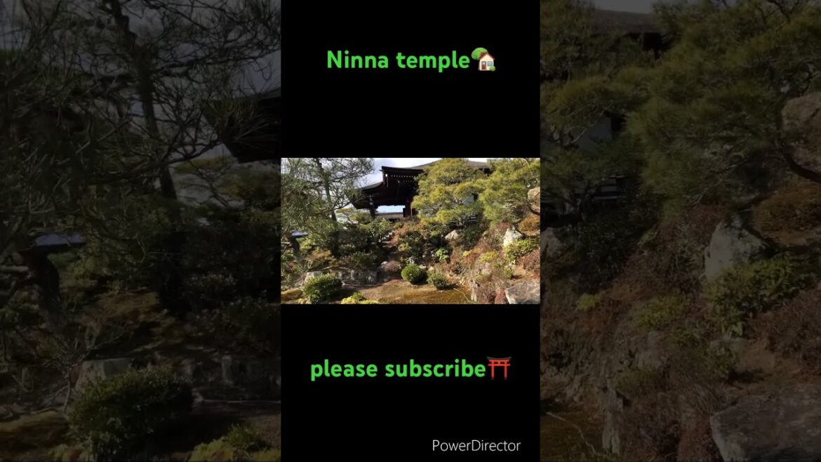 【KYOTO 】Ninna temple #kyoto #shorts #travel #walking #pleasesubscribe #shrine #trip #pleasesupport