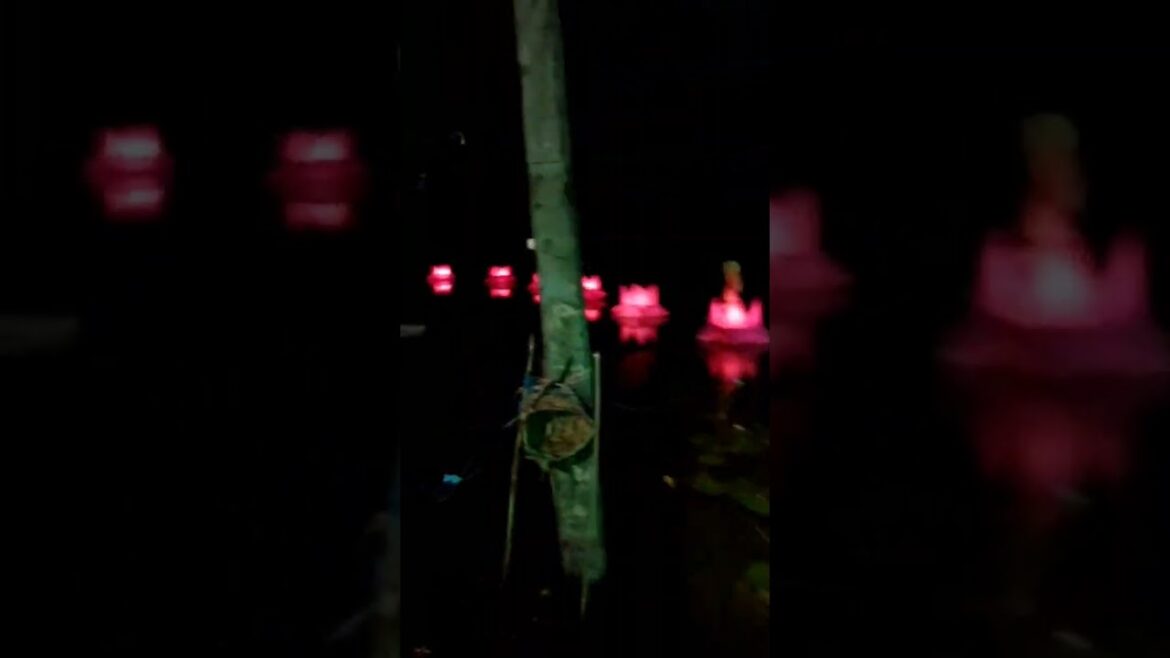 #shorts | Created in the Poson region 🤩🤩 | sri lanka poson region | #youtubeshorts #short vairal