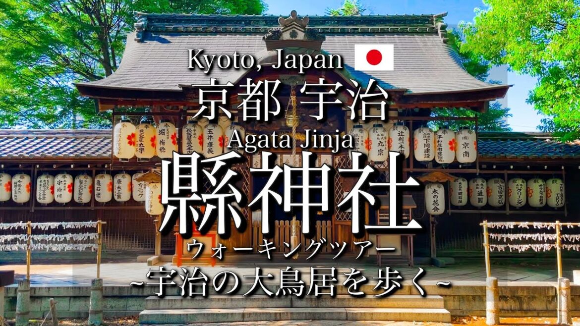 [京都|Kyoto]"縣神社(あがた神社)"を散策｜宇治市の大鳥居を観光｜Kyoto, "Uji" Walking Tour(Vlog)