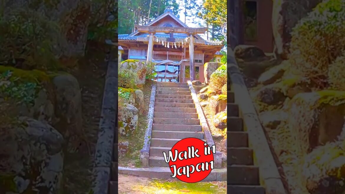 Japanese Hilltop Shrine #shorts