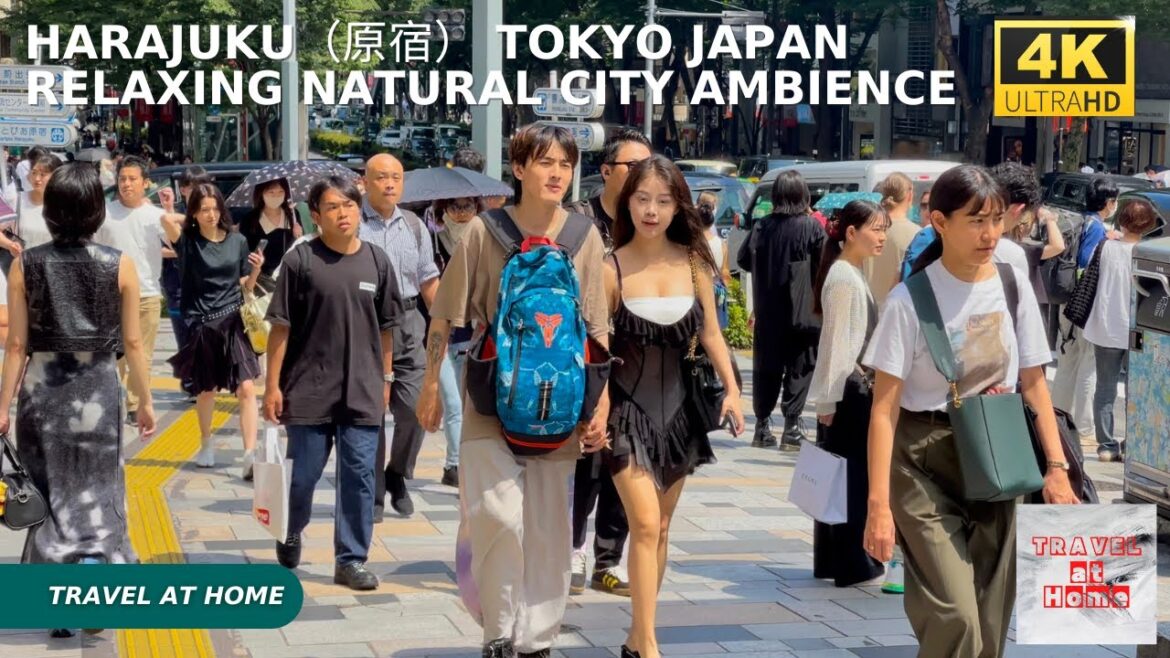 4k hdr japan travel | Walk in Harajuku（原宿）Tokyo japan |  Relaxing Natural City ambience