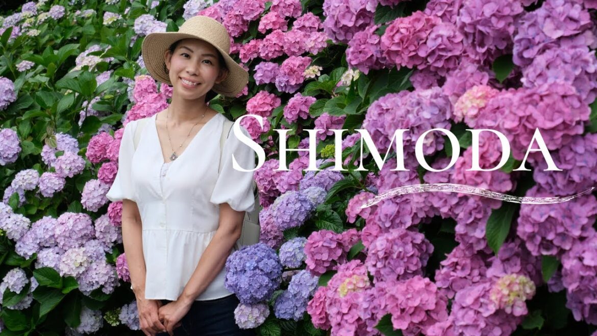 🔴Japan's Rainy Season Gem - 3 Million Hydrangeas | Shimoda Park in June