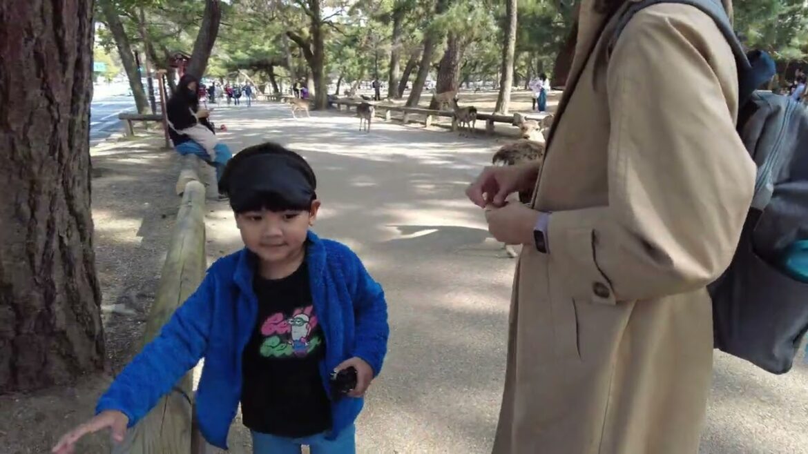 Day 1 & Day 2 Japan Trip From Osaka to Kyoto & Nara #familytrip #japantrip #japantravel #kids Day 1 & Day 2 Japan Trip From Osaka to Kyoto & Nara #familytrip #japantrip #japantravel #kids