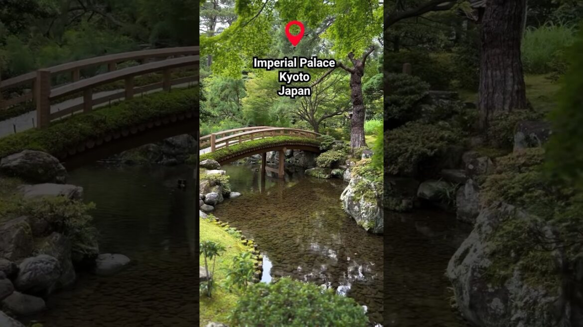 Japanese Garden surprise at Kyoto Imperial Palace #japantrip #kyotosightseeing #shorts #tripideas
