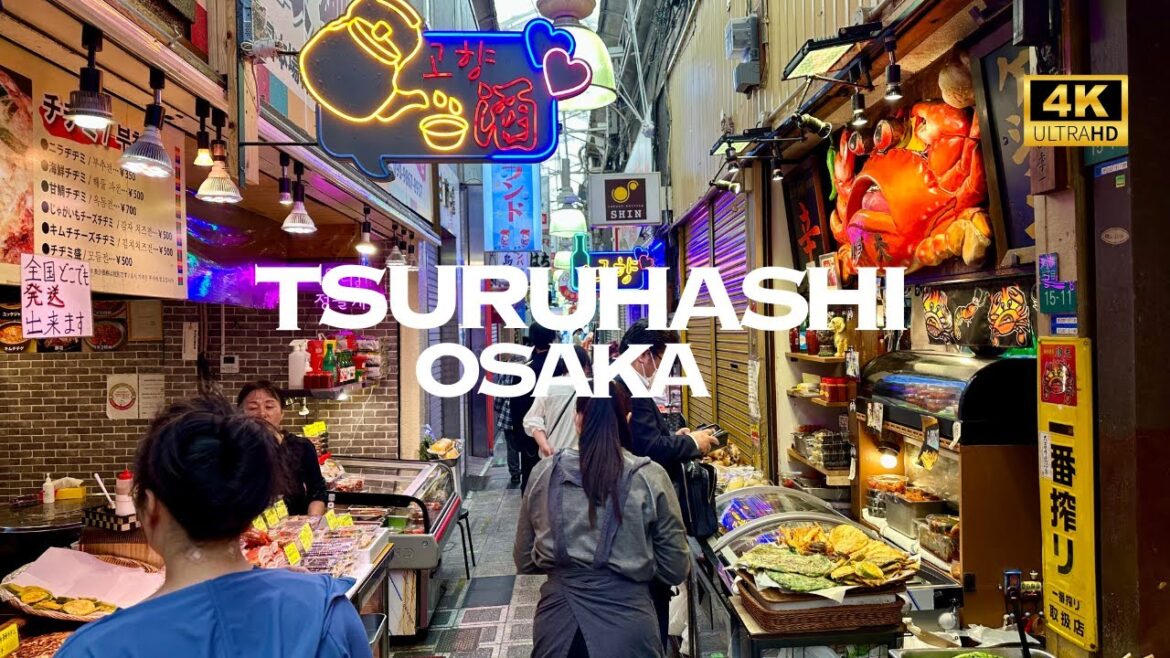 [4K] TSURUHASHI OSAKA 🐧 Nonstop Walking Tour / 鶴橋 大阪 散歩