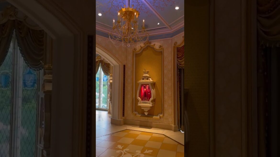 Cinderella Castle Tour @ Tokyo Disneyland #shorts