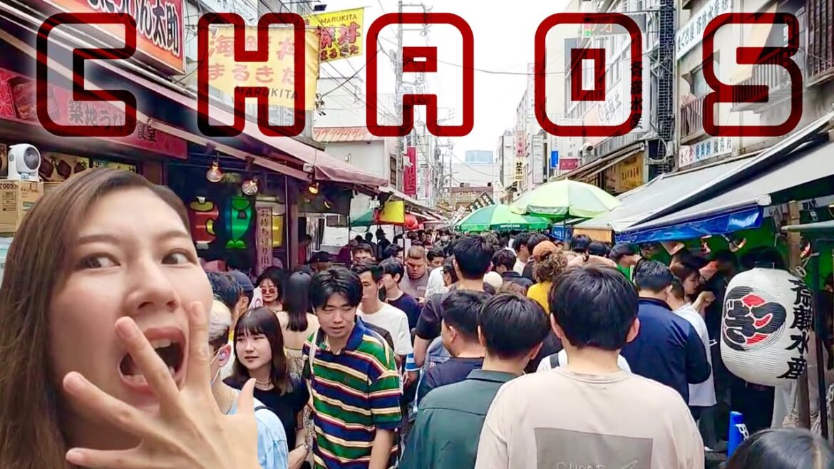 Travel to Tokyo After COVID-19 / June 2023 in Tsukiji Market