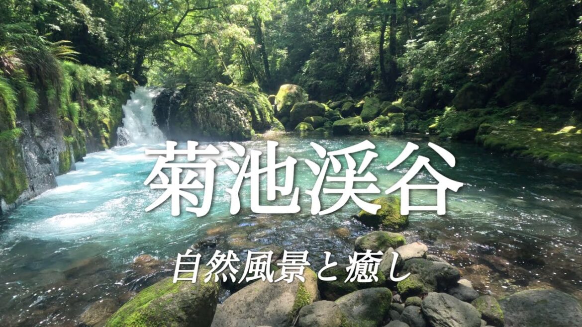 【菊池渓谷】#自然ASMR#自然渓流#ピアノBGM#憩いの森 【菊池渓谷】#自然ASMR#自然渓流#ピアノBGM#憩いの森
