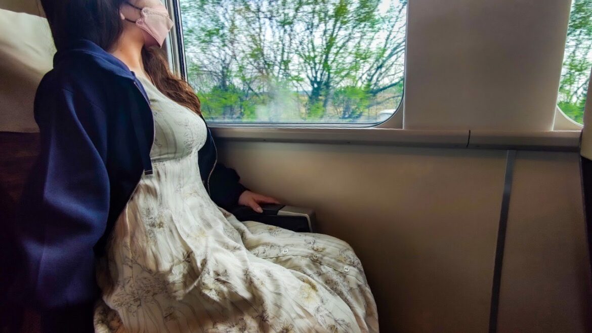 【ローカル特急】苫小牧港〜札幌 フェリー さんふらわあ下船から札幌駅を目指す!トイレがない長距離バスは不安だから特急すずらんに乗ってみた。女一人旅 【ローカル特急】苫小牧港〜札幌 フェリー さんふらわあ下船から札幌駅を目指す!トイレがない長距離バスは不安だから特急すずらんに乗ってみた。女一人旅