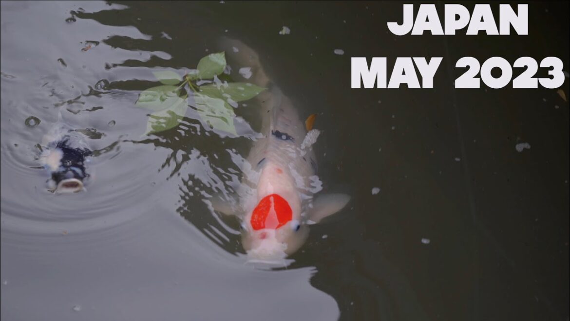 Travel Diary #14 Japan May 2023 4K Osaka to Tokyo