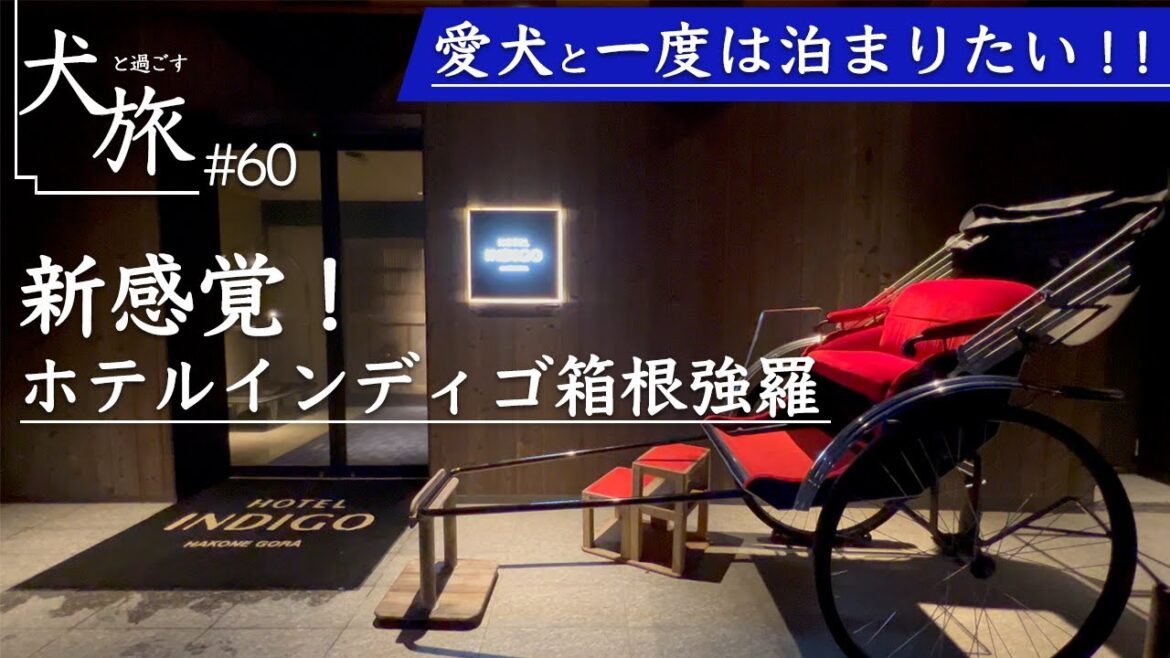 【ホテルインディゴ箱根強羅|HOTEL INDIGO Hakone Gora】愛犬と泊まれる客室露天風呂付きのお部屋に宿泊!リバーサイドに佇む人気高級ホテルが最高すぎた 【ホテルインディゴ箱根強羅|HOTEL INDIGO Hakone Gora】愛犬と泊まれる客室露天風呂付きのお部屋に宿泊!リバーサイドに佇む人気高級ホテルが最高すぎた