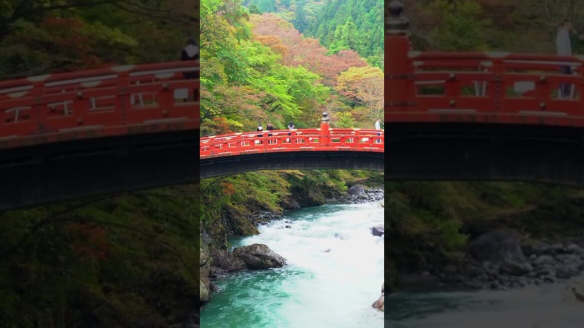 Japan land of amazing natural beauty.