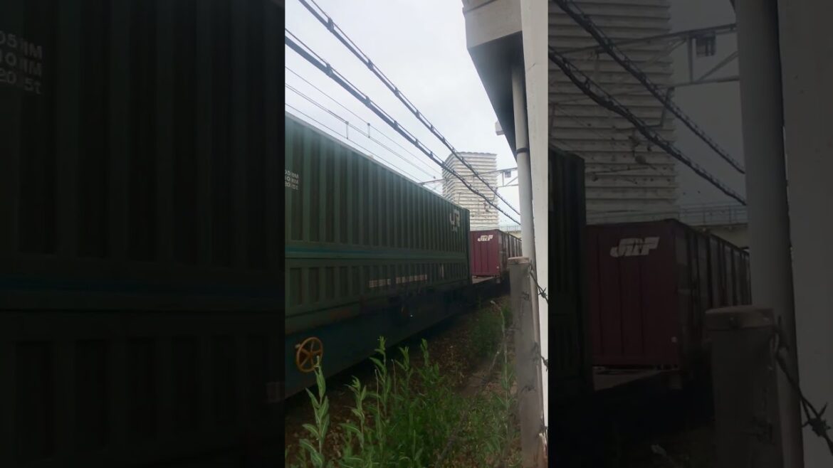 JR Train Crossing #japantravel #shortvideo #shortsvideo #jr #okayama @TopViralTalentYT @viralhog JR Train Crossing #japantravel #shortvideo #shortsvideo #jr #okayama @TopViralTalentYT @viralhog