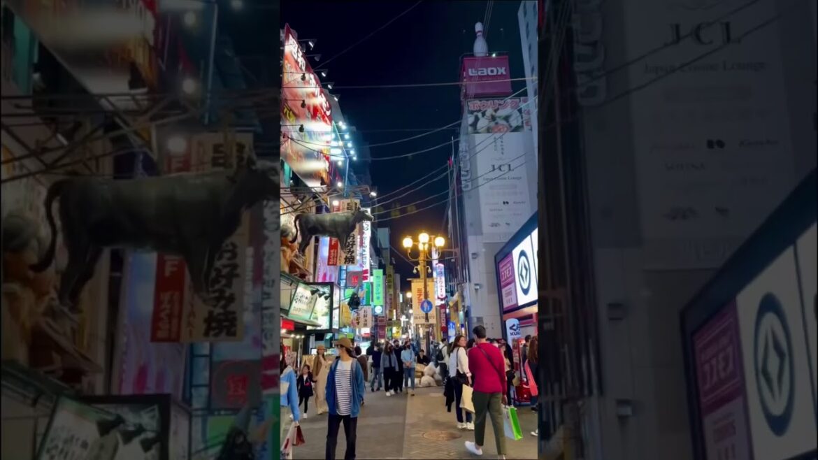 ✍🏻 WHERE TO EXPLORE IN OSAKA 🇯🇵 see description