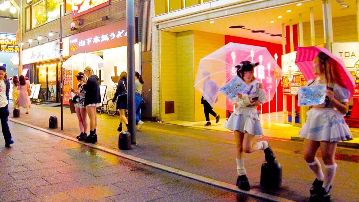 Shinjuku in Tokyo 🐶🍻 Explore Night Kabukicho♪💖4K ASMR non-stop 1 hour 02 minutes Shinjuku in Tokyo 🐶🍻 Explore Night Kabukicho♪💖4K ASMR non-stop 1 hour 02 minutes