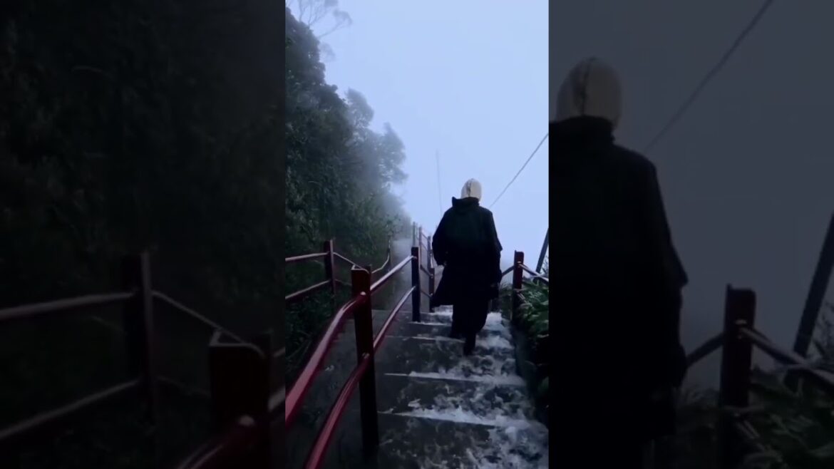 #shorts |  sri pade climbing in the rain 🤩🤩 | sri lanka travel #youtubeshorts #short | best shorts