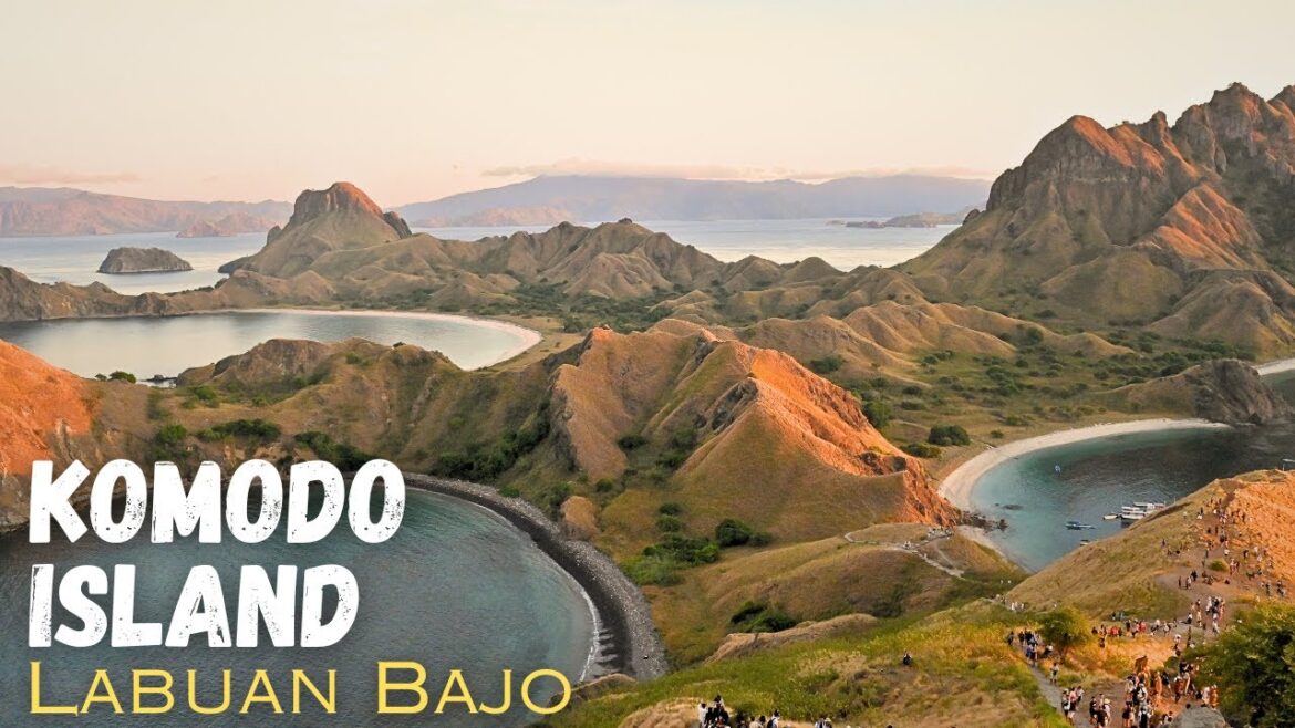 Komodo Island | Labuan Bajo June 2023