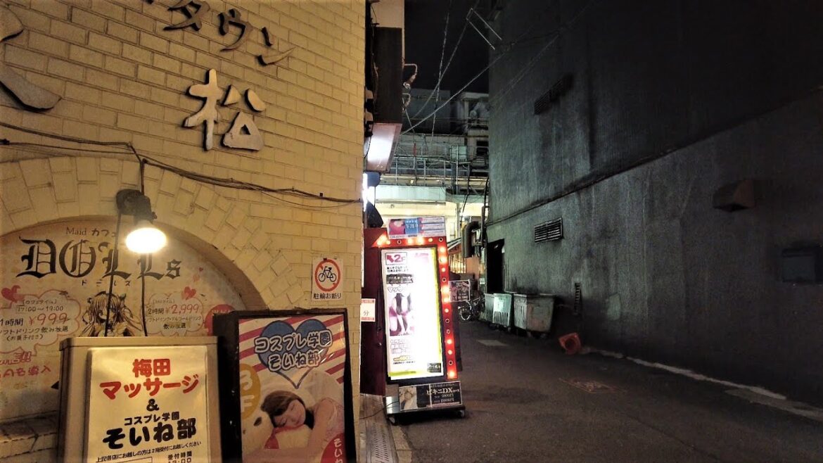 Happy Friday Night Tour in Umeda, Downtown Osaka Happy Friday Night Tour in Umeda, Downtown Osaka