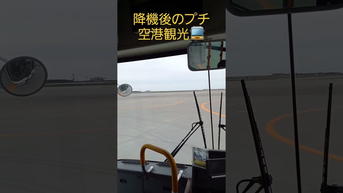 ✈︎Petit bus trip after getting off the plane 🚍...