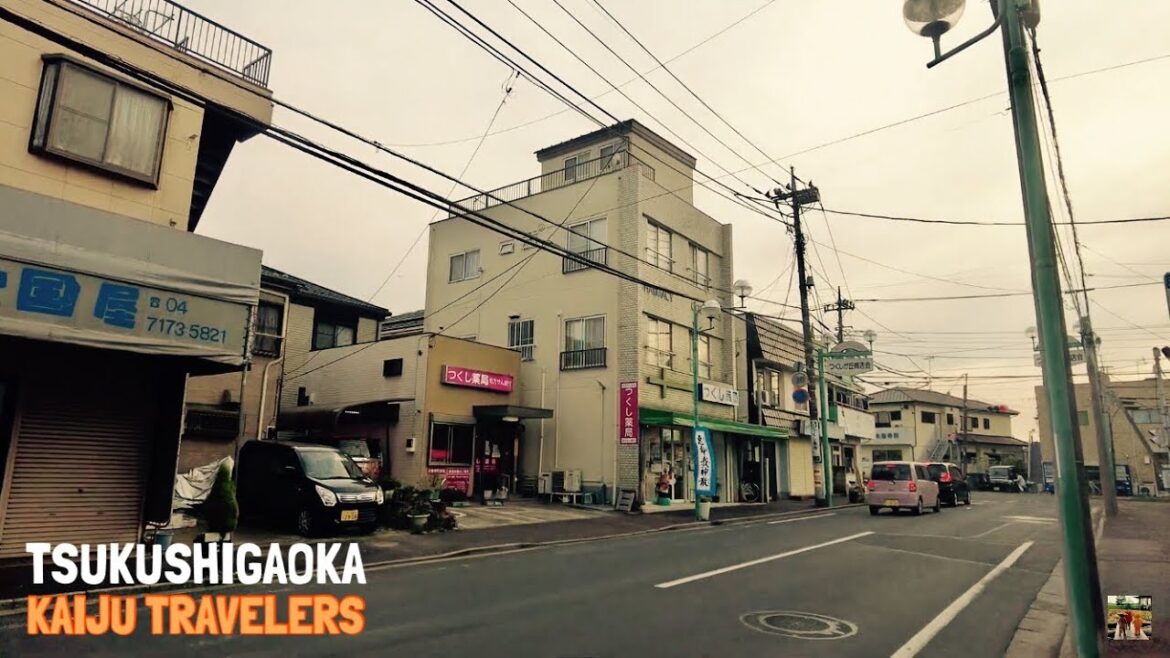 【🇯🇵4K】新柏にある小さな商店街を歩く　～柏市のつくしが丘商店会～　焼き鳥屋さんあり【Kashiwa in Chiba】