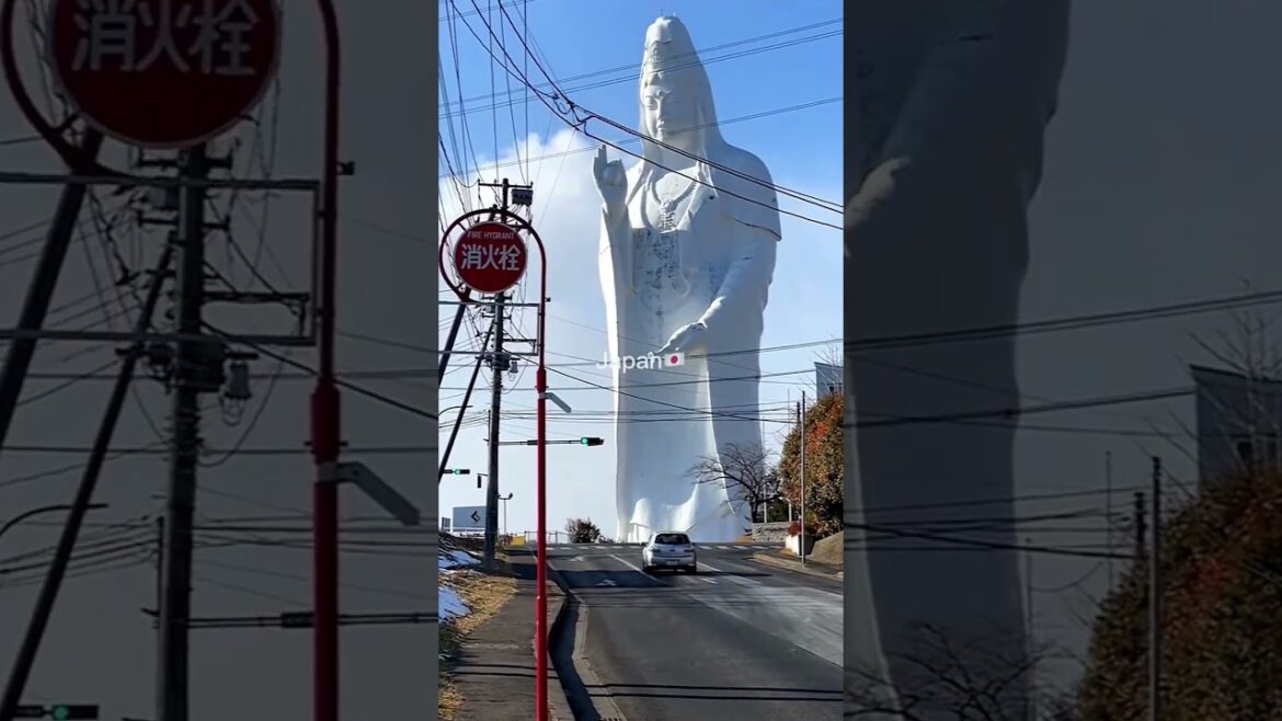 Japan Tokyo tour in Seconds π―π΅   #japan #tokyo #wonderful_places #travel #shorts #youtubeshorts Japan Tokyo tour in Seconds π―π΅   #japan #tokyo #wonderful_places #travel #shorts #youtubeshorts