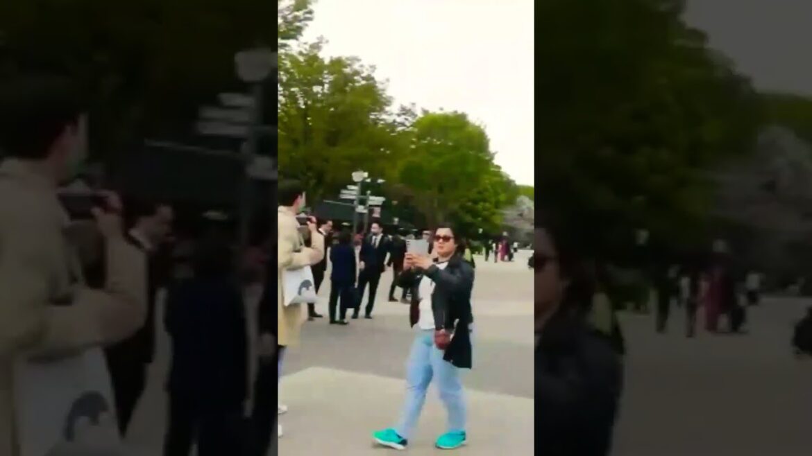 Japan🇯🇵😍 #shorts #japan #japantravel #japanvlog #japaneseculture #shinewithshorts #cherryblossom Japan🇯🇵😍 #shorts #japan #japantravel #japanvlog #japaneseculture #shinewithshorts #cherryblossom