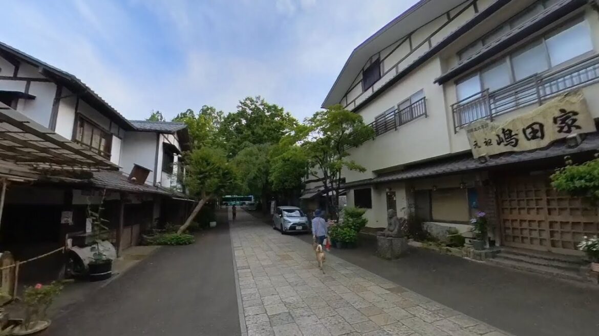 Part 5/6 360º Tour Cycling to Japan Jindaiji Temple 深大寺  2023.06.01 Ambience Ride Chofu 調布 寺 神社