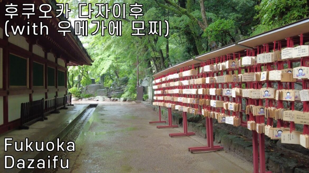 4K CC | 어머니와 함께 간 비 오는 날의 다자이후, 우메가에 모찌 | 후쿠오카 여행 | Travel Vlog 4K CC | 어머니와 함께 간 비 오는 날의 다자이후, 우메가에 모찌 | 후쿠오카 여행 | Travel Vlog
