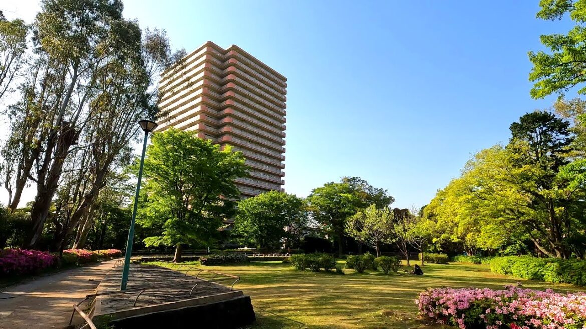 松戸中央公園を散歩 千葉県松戸市 松戸中央公園を散歩 千葉県松戸市